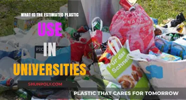 Unveiling the Hidden Plastic Crisis in Higher Education