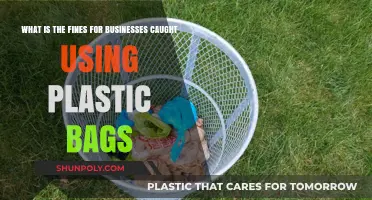 Plastic Bag Penalties: Fines for Businesses Using Banned Bags