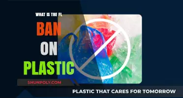 Florida's Plastic Ban: Reducing Plastic Pollution