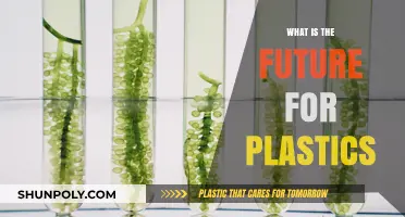 The Plastic Future: Sustainable Innovations or Environmental Catastrophe?