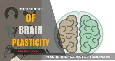 Unlocking Brain Plasticity's Future: Unveiling the Unknown