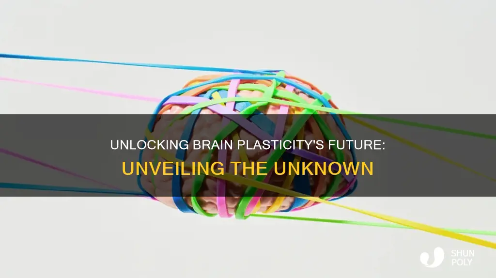what is the future of brain plasticity