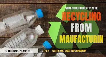 The Future of Plastic Recycling in Manufacturing