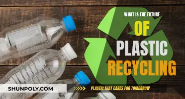 The Evolution of Plastic Recycling: Future Innovations and Advancements