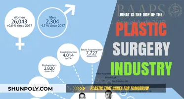 Exploring the Global GDP Impact of the Plastic Surgery Industry