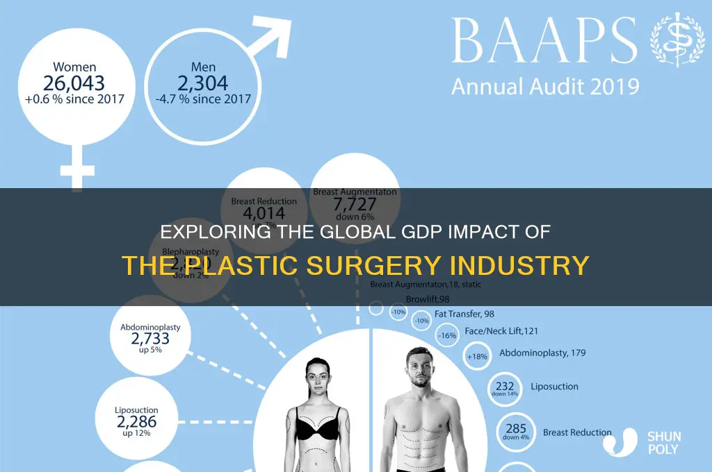 what is the gdp of the plastic surgery industry