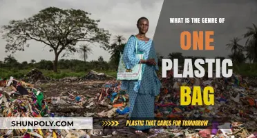 Unveiling the Genre of 'One Plastic Bag': A Creative Exploration