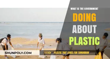 Government Efforts to Combat Plastic Pollution