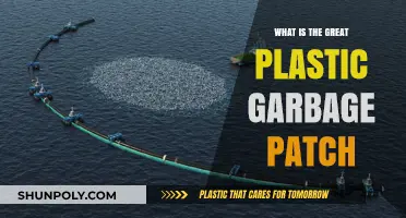 Plastic Pollution: The Great Pacific Garbage Patch