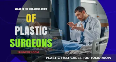The Greatest Asset of Plastic Surgeons: Precision, Artistry, and Patient Trust
