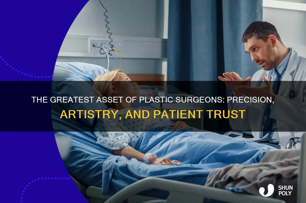 what is the greatest asset of plastic surgeons