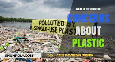 Plastic Pollution: A Growing Global Concern
