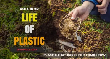 The Long Half-Life of Plastic's Impact