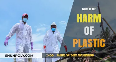 Plastic's Harmful Impact: A Global Concern