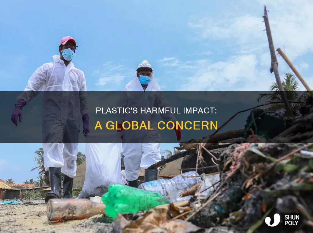 what is the harm of plastic