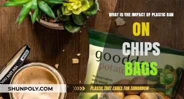 Plastic Ban's Crunch: How Chip Bags Are Adapting to Sustainability
