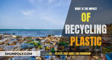 Recycling Plastic: Environmental Impact and Benefits