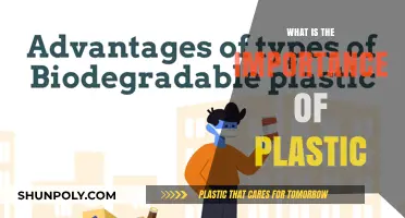 The Versatility of Plastic: Importance and Applications