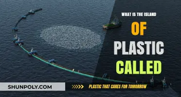 The Plastic Island's Impact: An Environmental Catastrophe