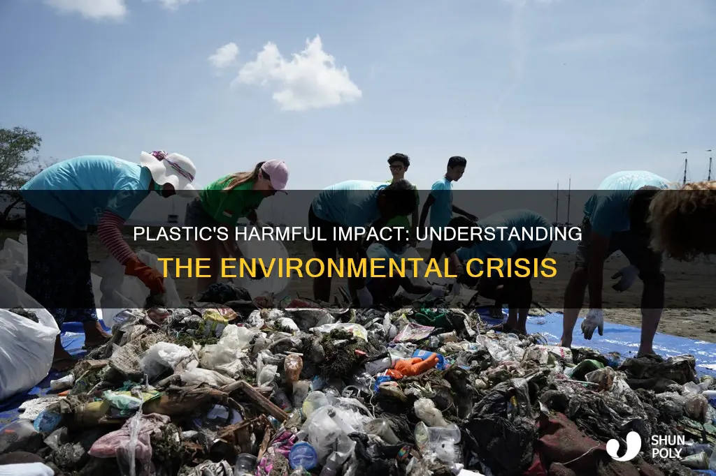 what is the issue with plastic