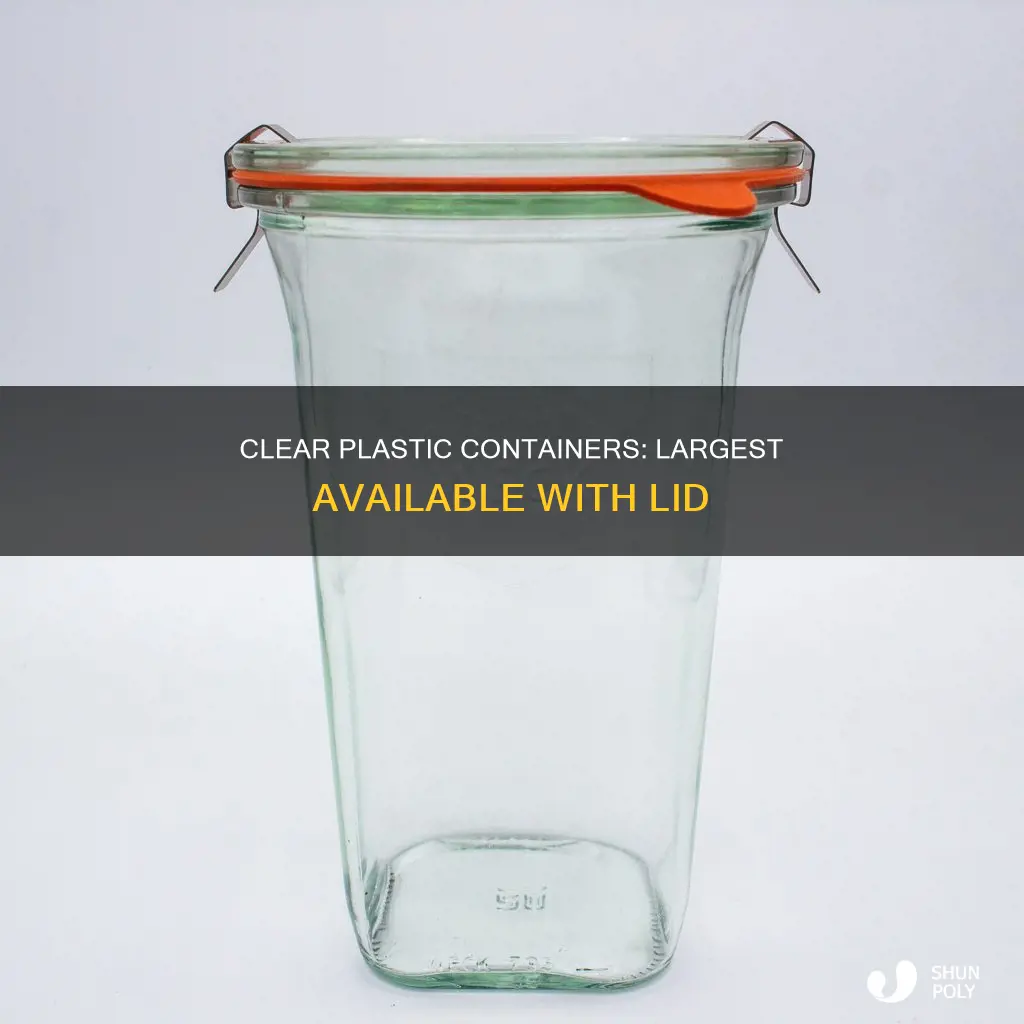what is the largest clear plastic container with lid available