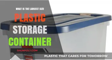Biggest Plastic Storage Container Options for Your Needs