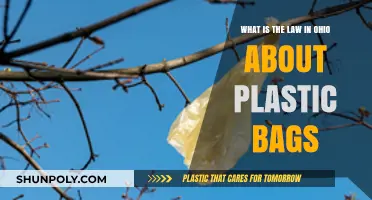Ohio's Plastic Bag Laws: Regulations, Bans, and Environmental Impact