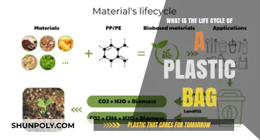 From Production to Pollution: Understanding the Plastic Bag Life Cycle