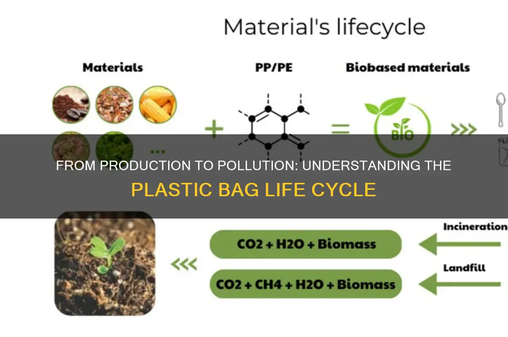 what is the life cycle of a plastic bag