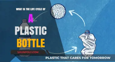 From Production to Pollution: The Life Cycle of a Plastic Bottle
