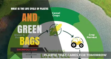Plastic vs. Green Bags: Understanding Their Life Cycles and Impact