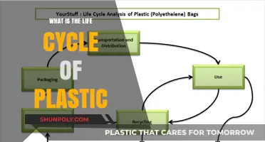 Plastic's Journey: From Cradle to Grave