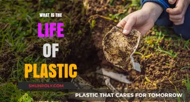 The Long Life of Plastic: Impact and Implications