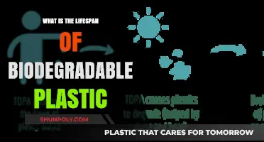 Biodegradable Plastic: How Long Does it Last?