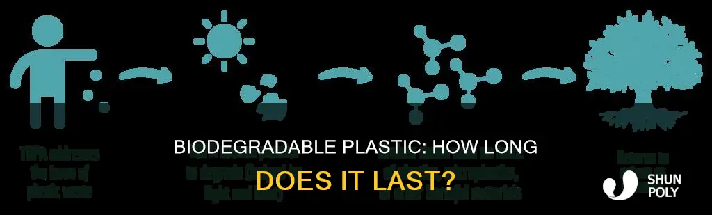 what is the lifespan of biodegradable plastic