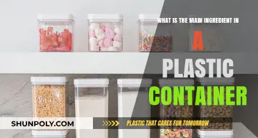 The Main Ingredient in Plastic Containers: A Closer Look