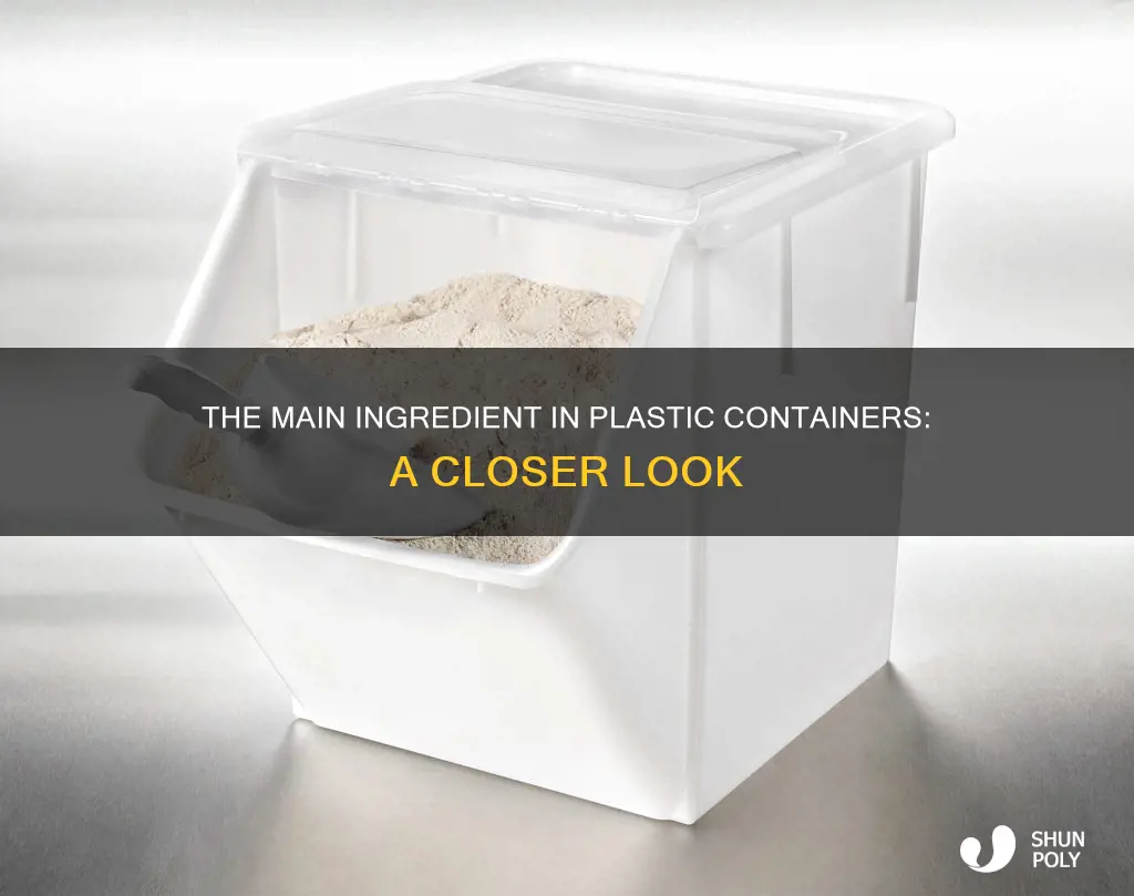 what is the main ingredient in a plastic container