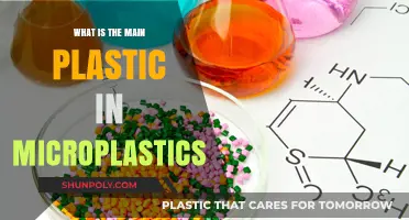 The Main Culprit Behind Microplastics: Polyethylene's Impact