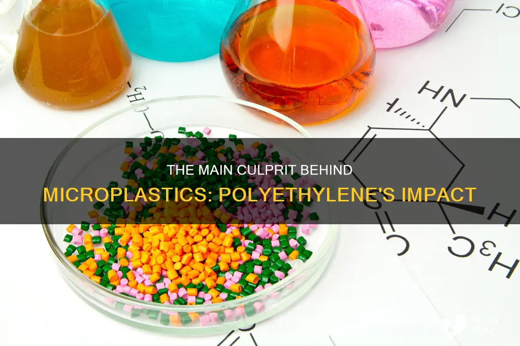 what is the main plastic in microplastics