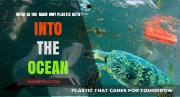 How Plastic Enters Oceans: Primary Pathways and Prevention Strategies
