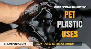 Unveiling the Primary Resource Behind PET Plastic Production