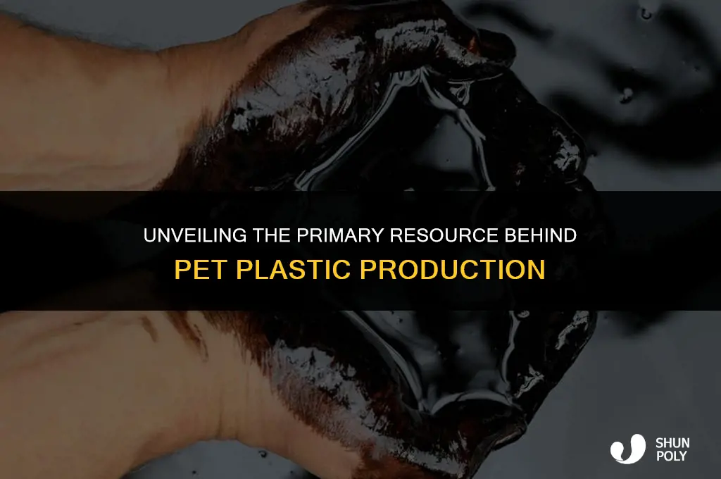 what is the major resource that pet plastic uses