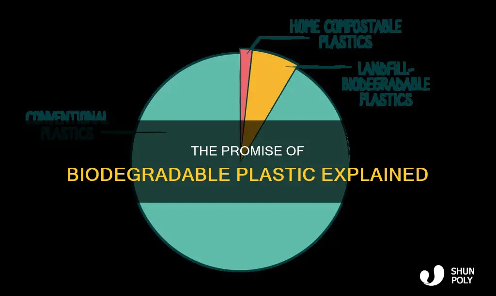 what is the meaning of biodegradable plastic