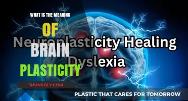 Brain Plasticity: Unlocking the Brain's Ability to Change