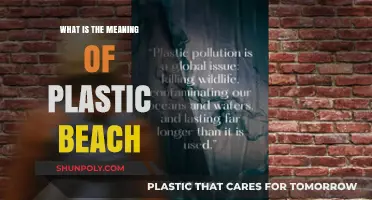 Plastic Beach: A Man-Made Environmental Disaster