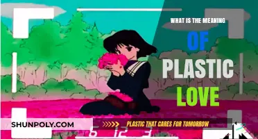 The Illusion of Plastic Love: Meaning and Misconceptions