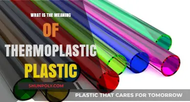 The Intriguing Nature of Thermoplastic Polymers