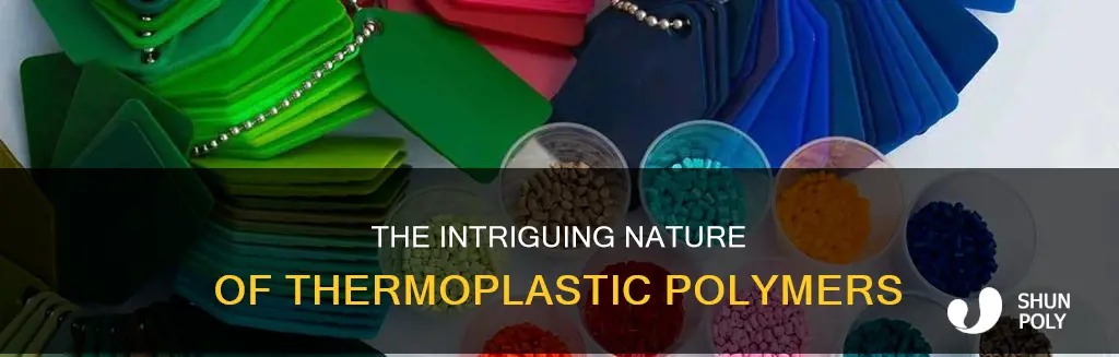 what is the meaning of thermoplastic plastic