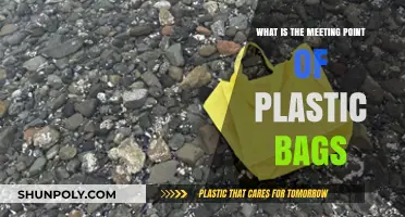 Where Plastic Bags Converge: Exploring Their Unexpected Meeting Points