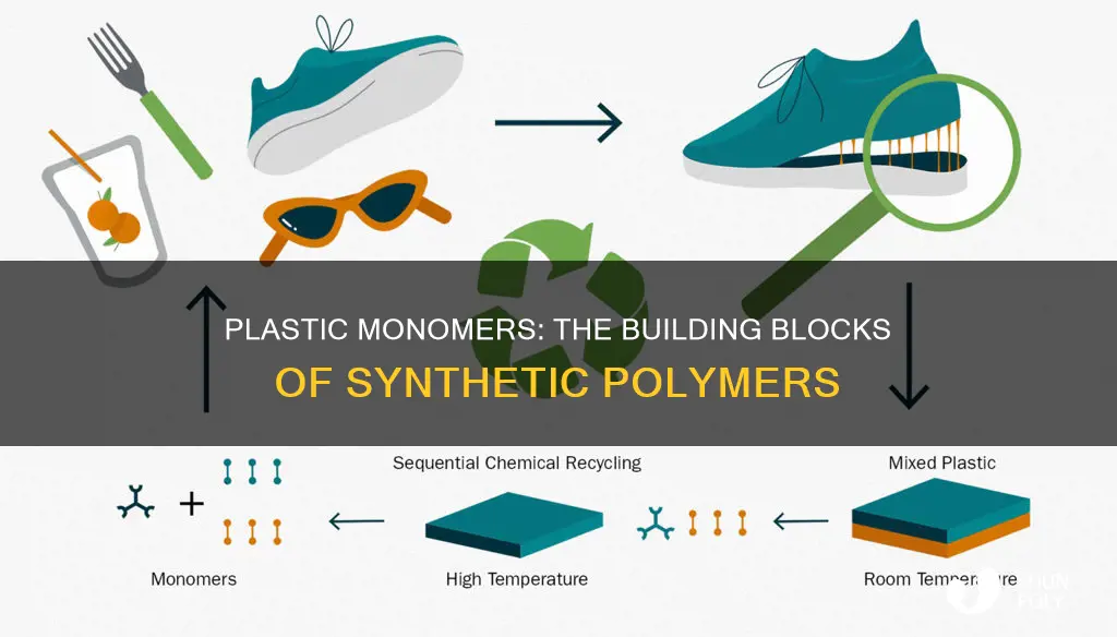 what is the monomer of plastic